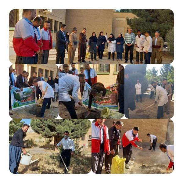 درختکاری به مناسبت روز پرستار