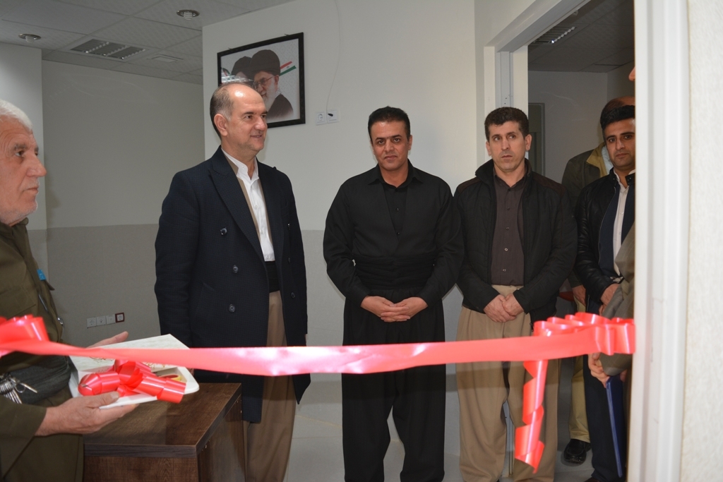 بازدید